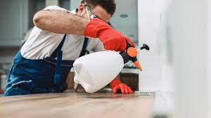 Best Emergency Pest Control  in Douglasville, GA